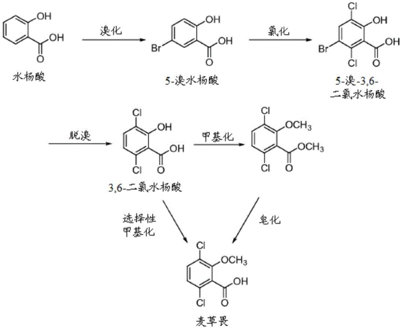 Overview of the novel salicylic acid route for Dicamba synthesis showing bromination and chlorination steps