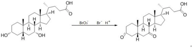 Reaction equation showing oxidation of Chenodeoxycholic acid to 3 7-diketocholanic acid