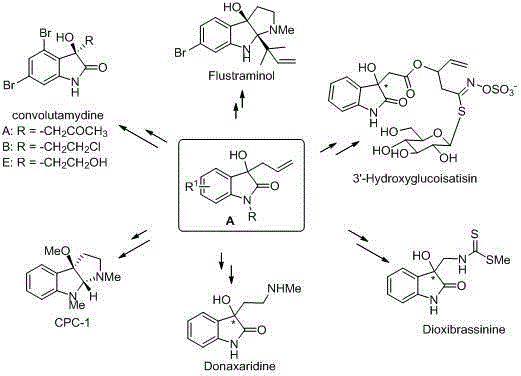 Chemical structures of bioactive natural products derived from 3-allyl-3-hydroxyoxindole intermediates