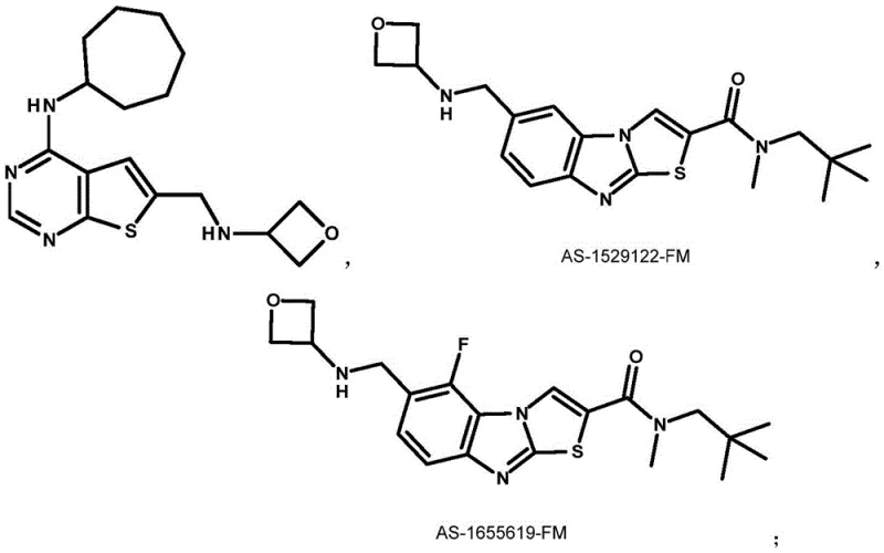 General structure of 3-amino-oxetane derivative Formula VI