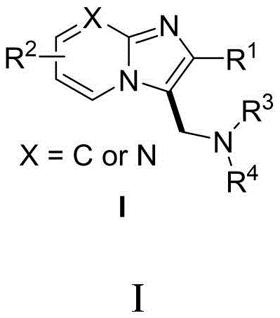 General chemical structure of 3-aminomethyl imidazo[1,2-a]pyridine derivatives showing variable substitution sites