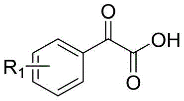 General structural formula of keto acid compounds showing variable R1 groups for substrate scope