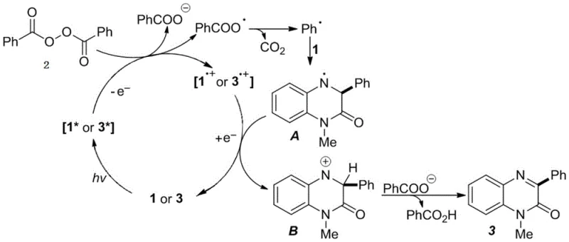 Detailed catalytic cycle mechanism showing radical generation and electron transfer steps