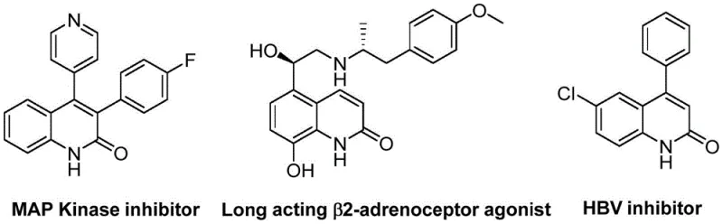Bioactive molecules containing quinolinone scaffolds illustrating therapeutic potential