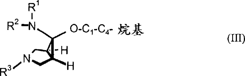 Reaction scheme showing the conversion of chloroenamines to N,O-acetals and subsequent reduction to endo-amines