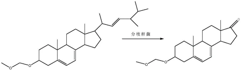 Biotransformation of ergosterol etherate to 3 beta-hydroxyandrosta-5 7-diene-17-one using Mycobacterium sp.