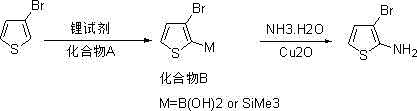 General reaction scheme showing lithiation of 3-bromothiophene followed by transmetallation and Cu-catalyzed amination