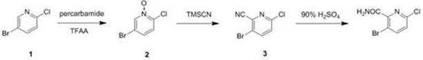 Reaction scheme showing the three-step synthesis of 3-bromo-6-chloropyridine formamide from 5-bromo-2-chloropyridine via N-oxide and nitrile intermediates