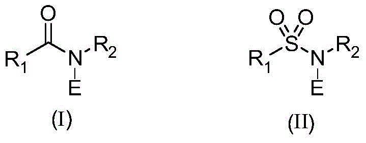 Chemical structure of N-E amide halogenating reagents used in the synthesis