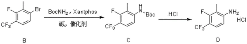 Synthetic route showing Buchwald-Hartwig amination of Compound B to C and subsequent deprotection to Compound D