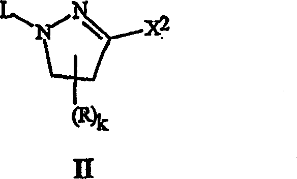 General reaction scheme showing the conversion of Formula II to Formula I via HX1 treatment