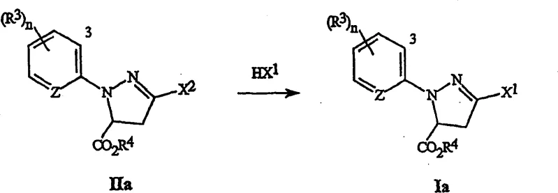 Specific embodiment Scheme 2 showing the conversion of Formula IIa to Formula Ia