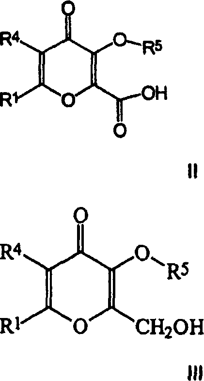 General chemical structures of Formula I, II, and III showing the core pyridone scaffold and substituent variations