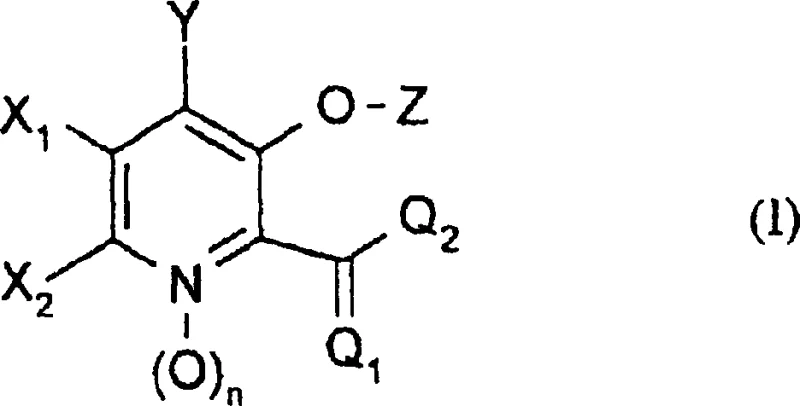 General Formula I of 3-hydroxypicolinic acid derivatives showing variable substitution patterns