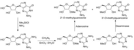 Conventional synthetic route for 3'-methoxyguanosine utilizing toxic diazomethane and enzymatic deamination