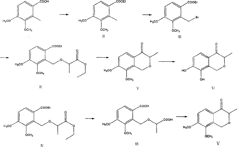 Complete synthetic route showing esterification, bromination, etherification, and dual cyclization pathways to 3-methyl-7,8-dihydroxyisochromanone-4