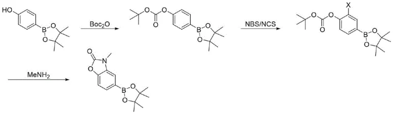 Three-step synthetic route showing Boc protection, halogenation, and cyclization