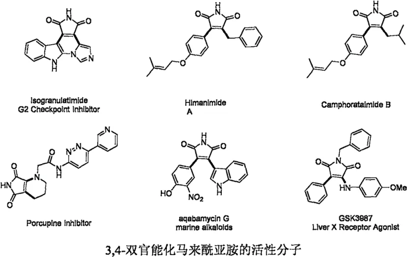 Bioactive molecules containing 3,4-difunctionalized maleimide core skeleton