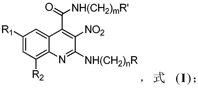 General structural formula of 3-nitroquinoline derivatives showing variable substituents R1, R2, R, and R'