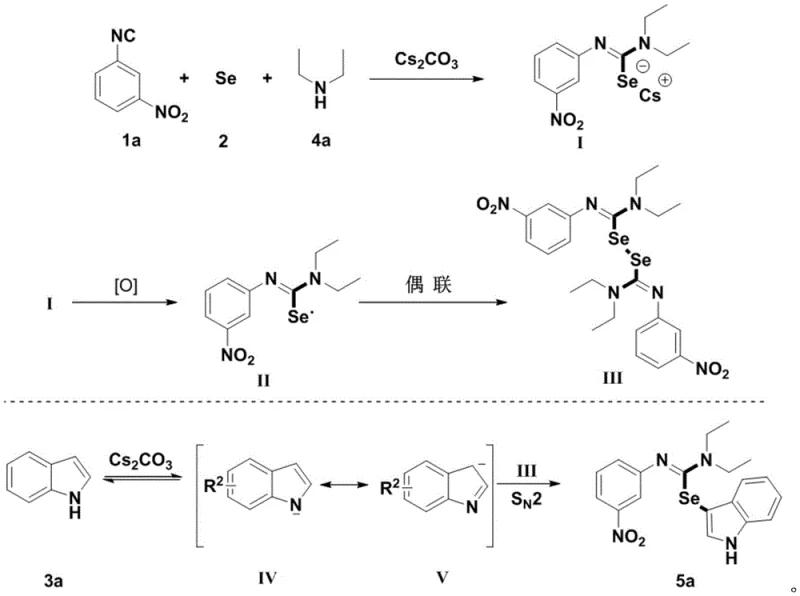 Detailed reaction mechanism showing selenourea intermediate formation and radical coupling pathway