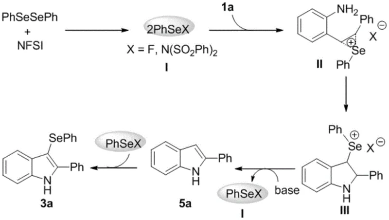 Proposed reaction mechanism showing the formation of electrophilic selenium species and cyclization steps