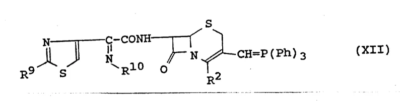 Reaction schemes showing Wittig olefination and subsequent transformations to introduce vinyl groups