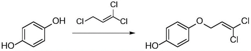 Reaction scheme showing the etherification of hydroquinone with 1,3-trichloropropene to form 4-(3,3-dichloroallyloxy)phenol