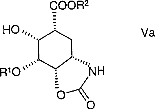 Selective enzymatic hydrolysis of cyclohexanedicarboxylates to chiral mono-acids