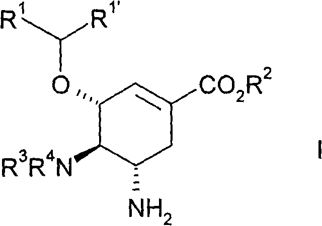 General chemical structure of Formula I 4,5-diaminoshikimic acid derivatives showing variable substituents R1-R4