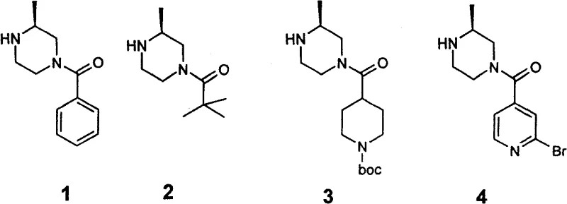 General structures of 4-acyl substituted-2-methylpiperazine compounds including phenyl, tert-butyl, and heterocyclic derivatives