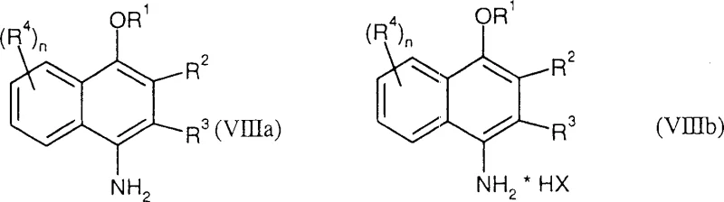 General structure of the final 4-amino-1-naphthol ether product (Formula VIIIa/VIIIb)
