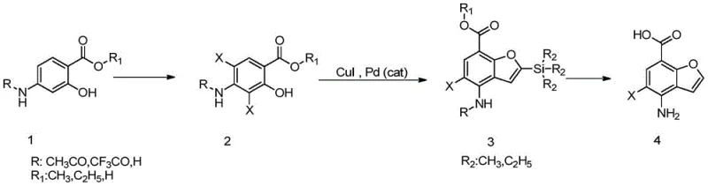 General synthetic route of the novel three-step process highlighting the Pd-catalyzed cyclization step