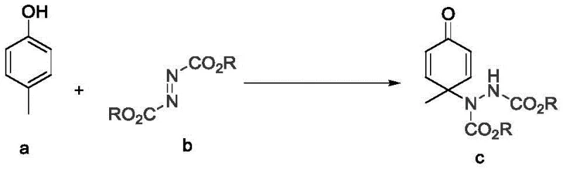 General reaction scheme showing p-cresol reacting with azodicarboxylate to form 4-amino cyclohexadienone derivative