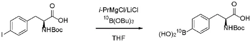 Synthesis of 10B-labeled intermediate using tributyl borate in THF
