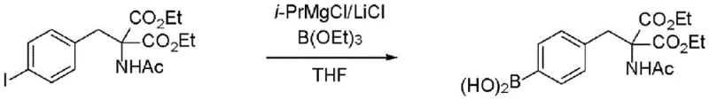 Example 1 synthesis showing conversion of diethyl acetamidomalonate derivative to boronic acid