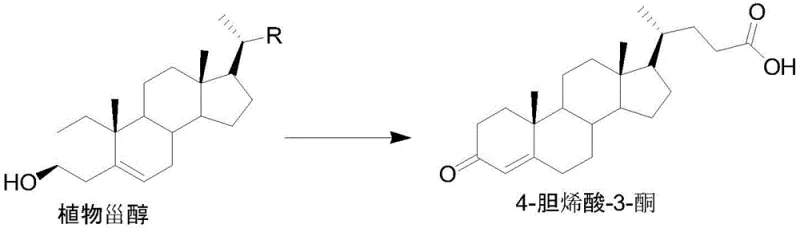 Bioconversion of Phytosterol to 4-cholenic acid-3-ketone using mutagenic strain