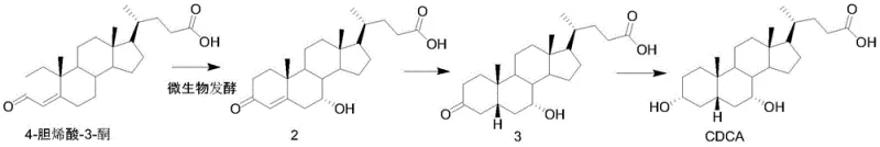 Synthesis pathway for Chenodeoxycholic Acid from 4-cholenic acid-3-ketone