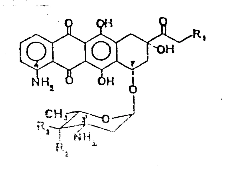 General chemical structure of 4-demethoxy-4-aminoanthracycline glycosides showing variable R groups for salt formation