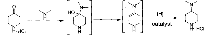 Reaction scheme showing the one-pot reductive amination of 4-piperidone hydrochloride with dimethylamine to form 4-dimethylaminopiperidine hydrochloride via imine intermediate and hydrogenation