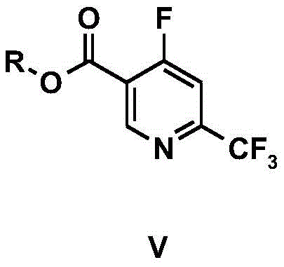 General structural formula of Compound V showing variable R groups for ester functionality