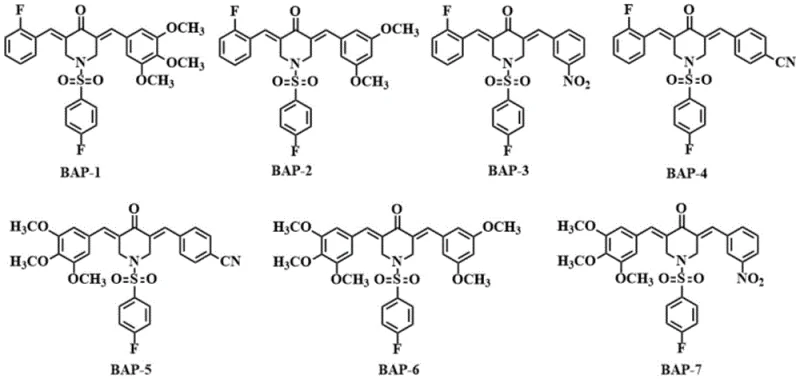 Chemical structures of seven asymmetric 4-fluorobenzenesulfonyl substituted 3,5-diarylmethylene-4-piperidone compounds (BAP-1 to BAP-7) showing diverse substituents