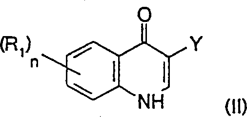 General chemical structure of 4-hydroxyquinoline tautomers showing substituent positions R1 and Y