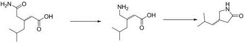 Reaction scheme showing Hofmann degradation followed by solvent-free cyclization to 4-isobutyl pyrrolidone