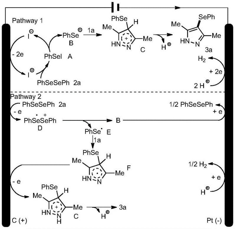 Proposed reaction mechanism pathways involving iodide mediation and radical intermediates
