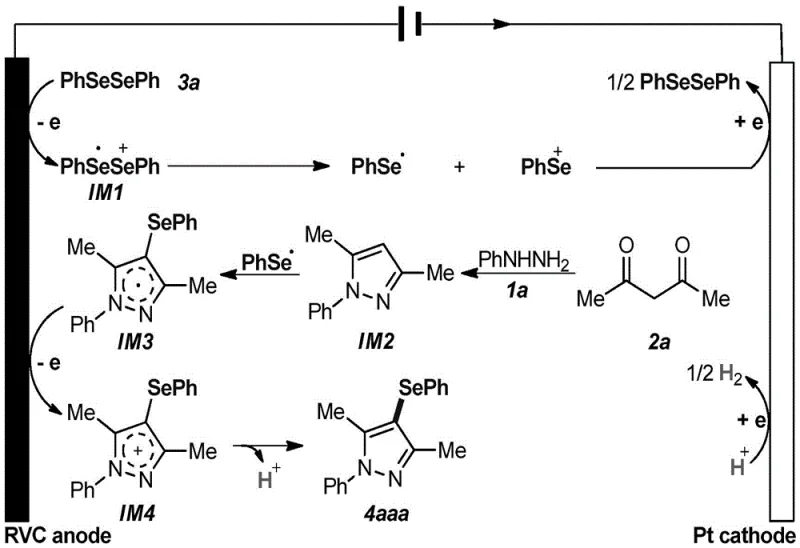 Proposed reaction mechanism for electrochemical synthesis showing anodic oxidation and radical intermediates