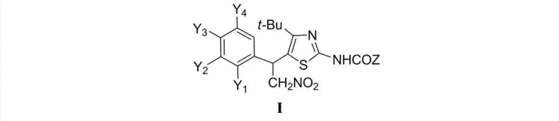 General chemical structure of 4-tert-butyl-5-(1-aryl-2-nitroethyl)-2-acylaminothiazole derivatives showing variable substituents Y and Z