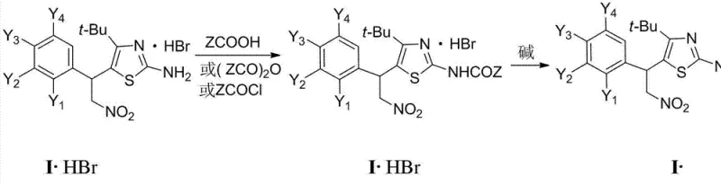 General synthesis route showing acylation of 4-tert-butyl-5-(1-aryl-2-nitroethyl)-2-aminothiazole to form the final acylamino derivative