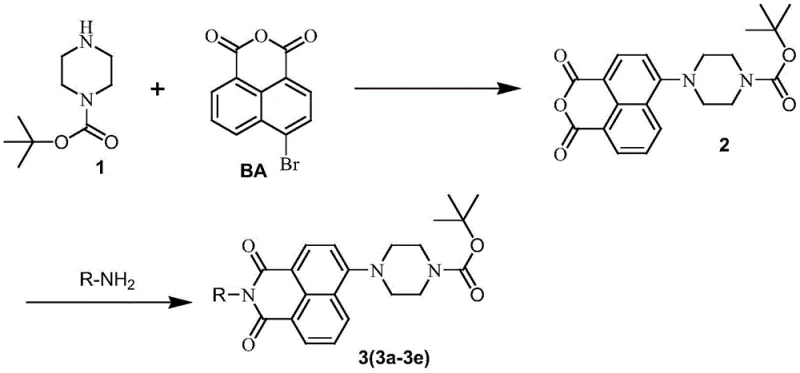 Synthesis route showing condensation of Boc-piperazine with naphthalic anhydride