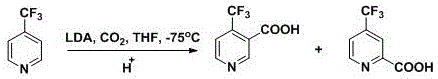 Prior art synthesis using LDA carboxylation at cryogenic temperatures