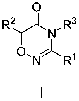 General chemical structure of 4H-1,2,4-oxadiazine-5(6H)-one derivatives showing variable substituents R1, R2, and R3